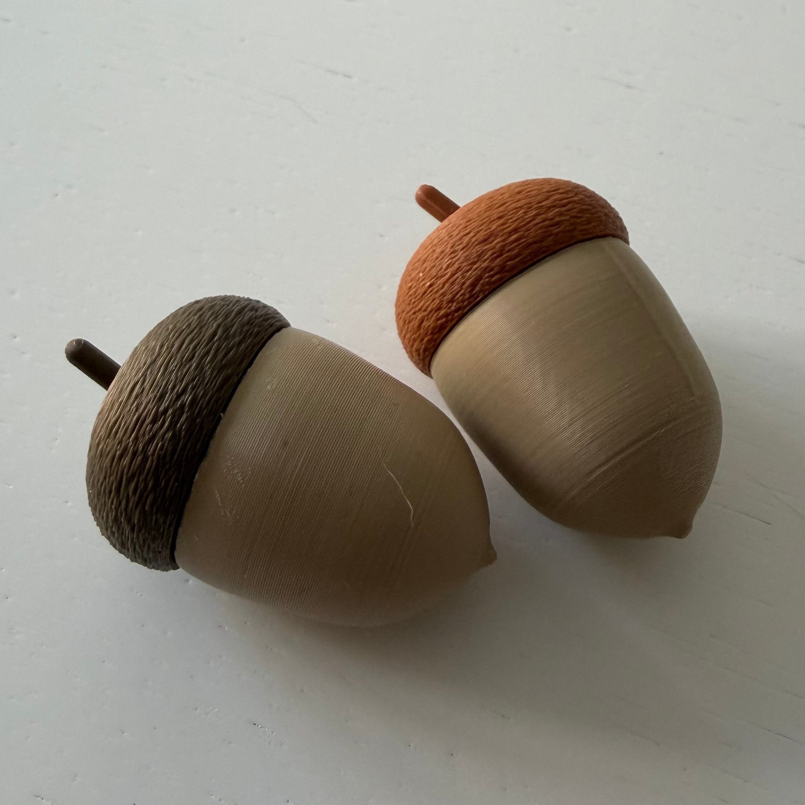 Cápsula de bellota